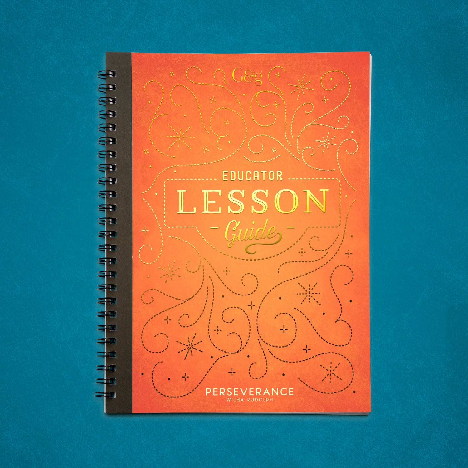 Perseverance | Printed Lesson Guide