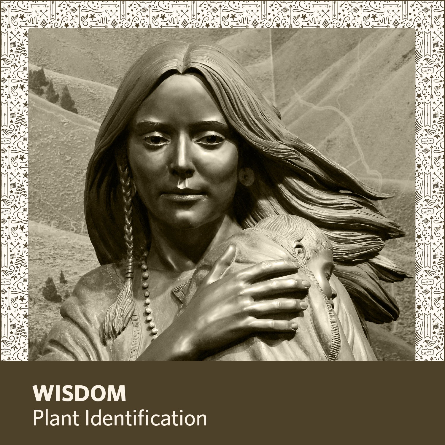 Wisdom Plant Identification Grace Grit Box Wisdom plant identification grace grit box